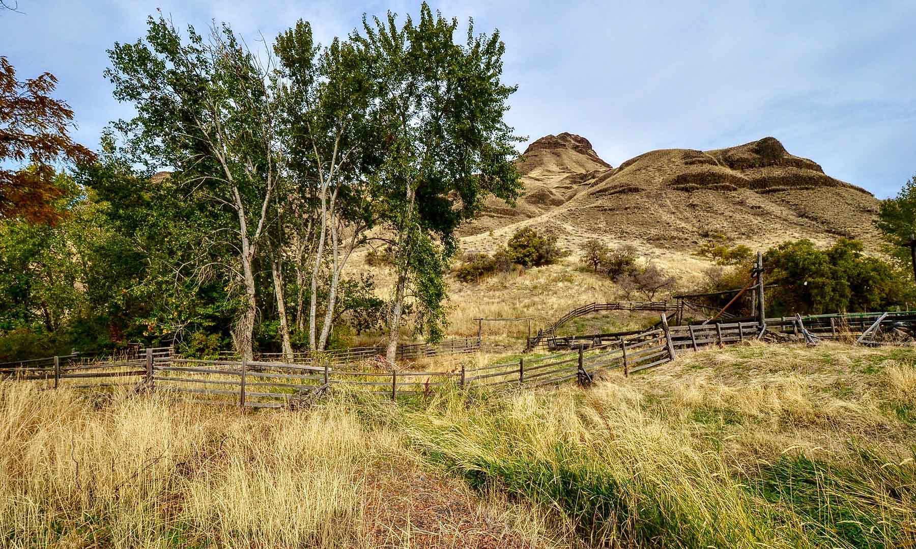 Lower Salmon River Ranch property picture 51 of 95