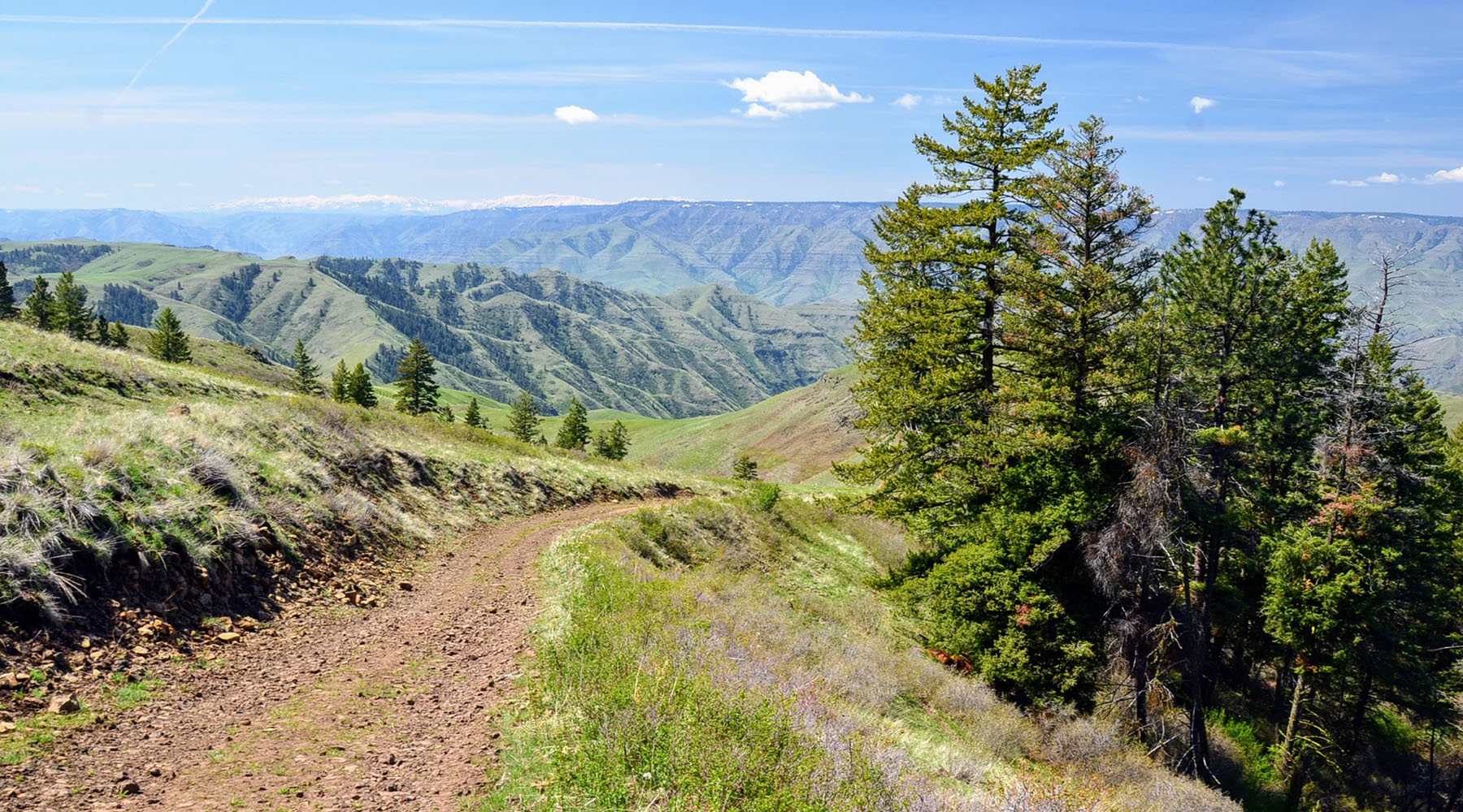 Lower Salmon River Ranch property picture 5 of 95