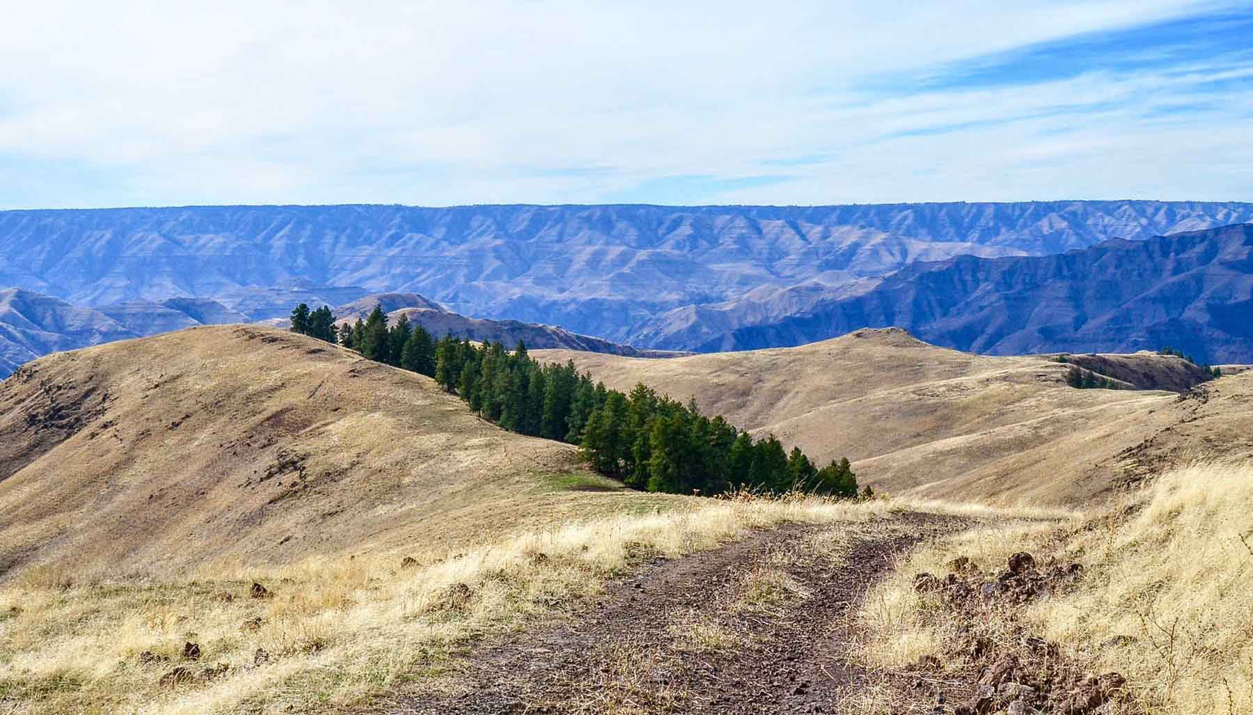 Lower Salmon River Ranch property picture 72 of 95