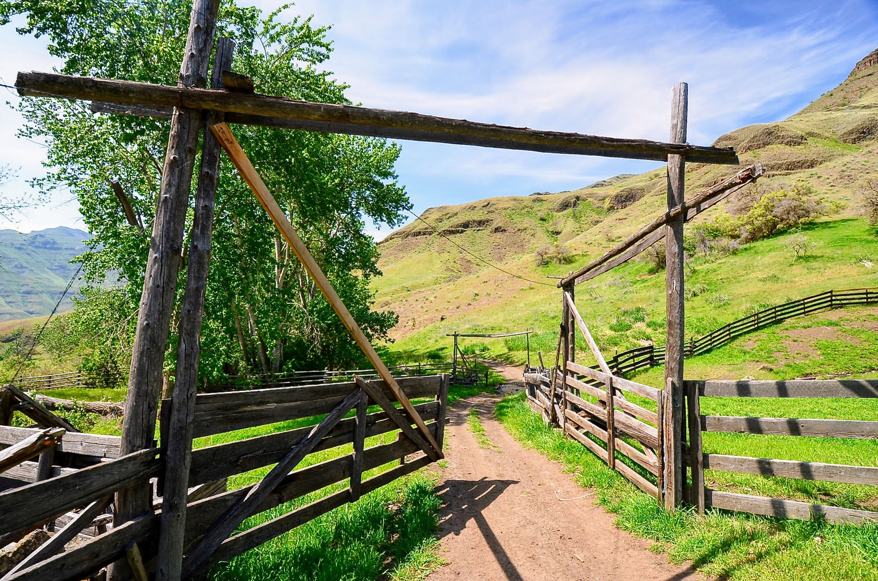 Lower Salmon River Ranch property picture 25 of 95