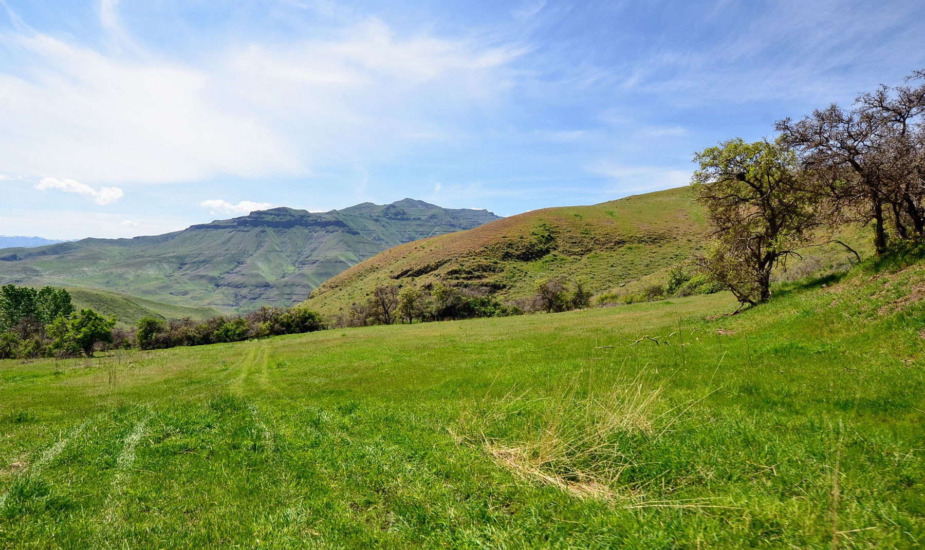 Lower Salmon River Ranch property picture 23 of 95