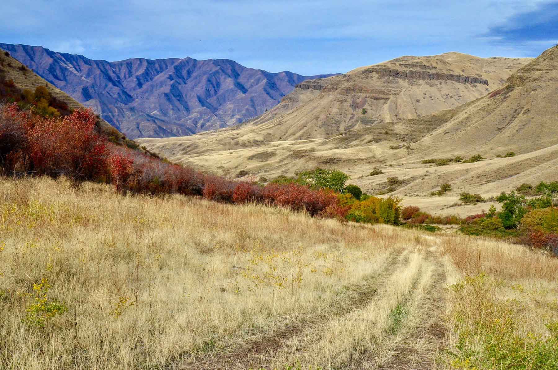 Lower Salmon River Ranch property picture 38 of 95