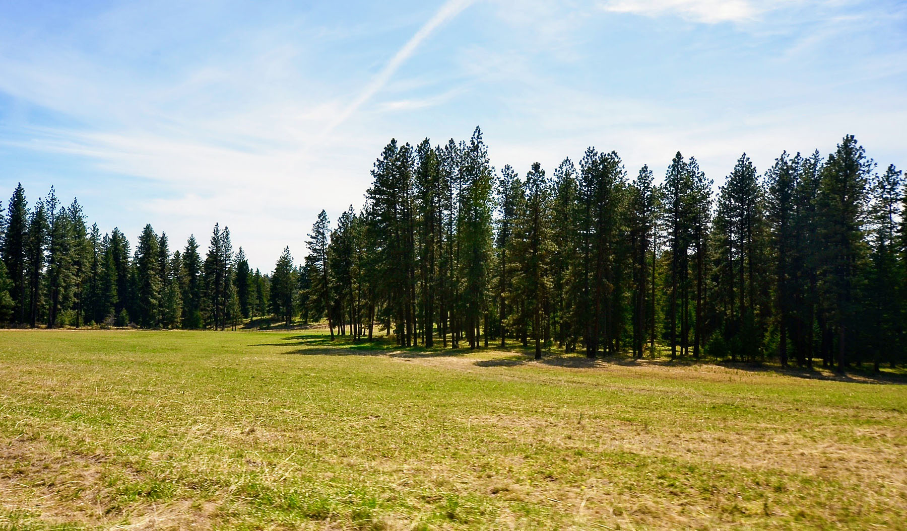 Lower Salmon River Ranch property picture 94 of 95