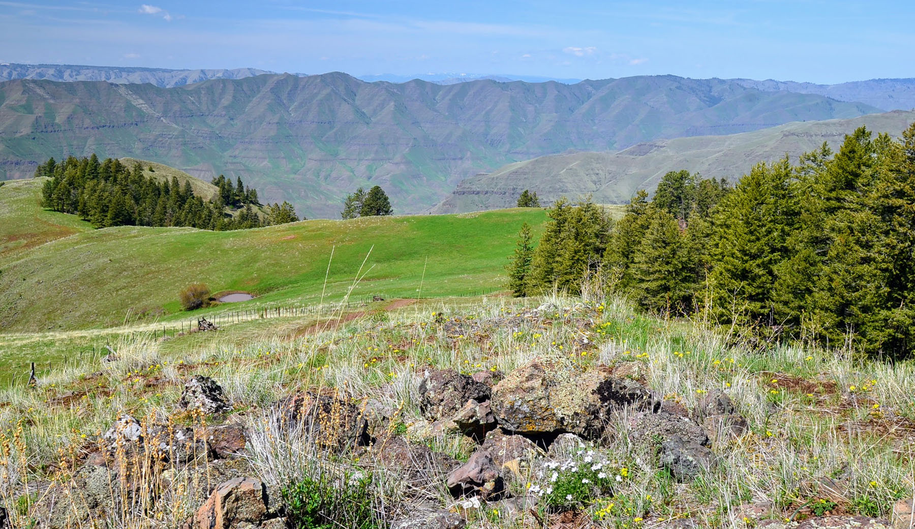 Lower Salmon River Ranch property picture 8 of 95