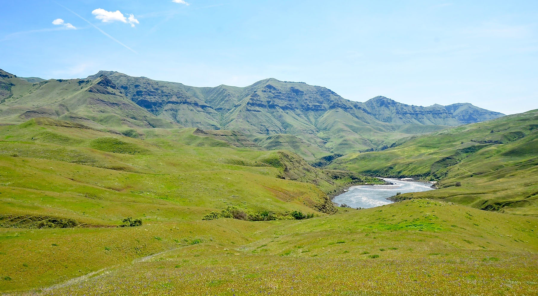 Lower Salmon River Ranch property picture 19 of 95