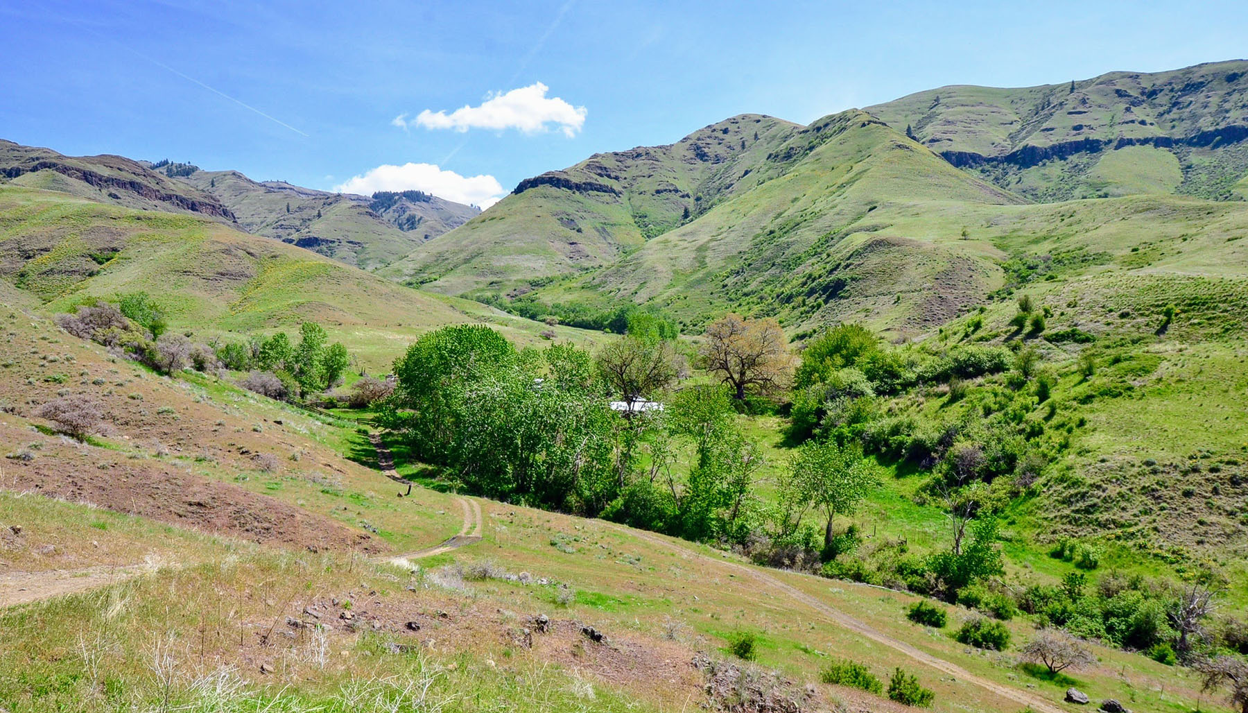 Lower Salmon River Ranch property picture 12 of 95