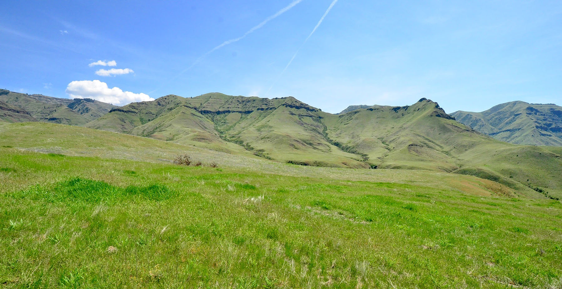 Lower Salmon River Ranch property picture 14 of 95