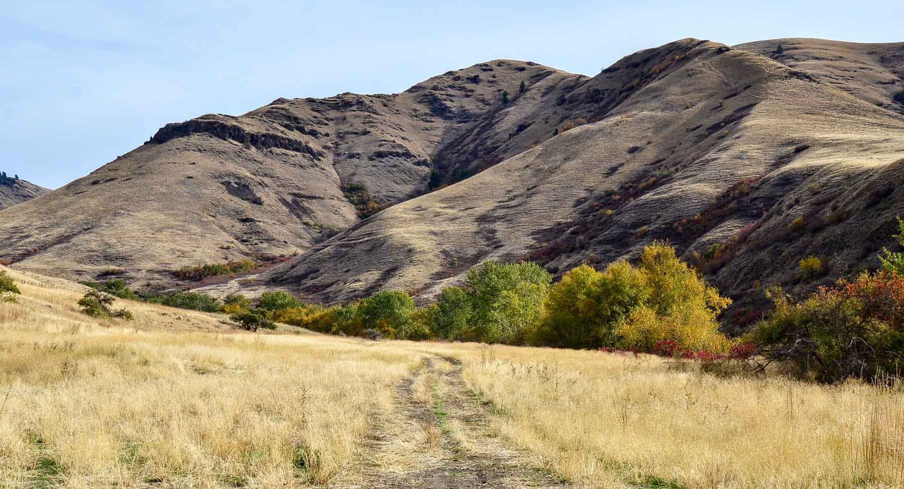 Lower Salmon River Ranch property picture 71 of 95