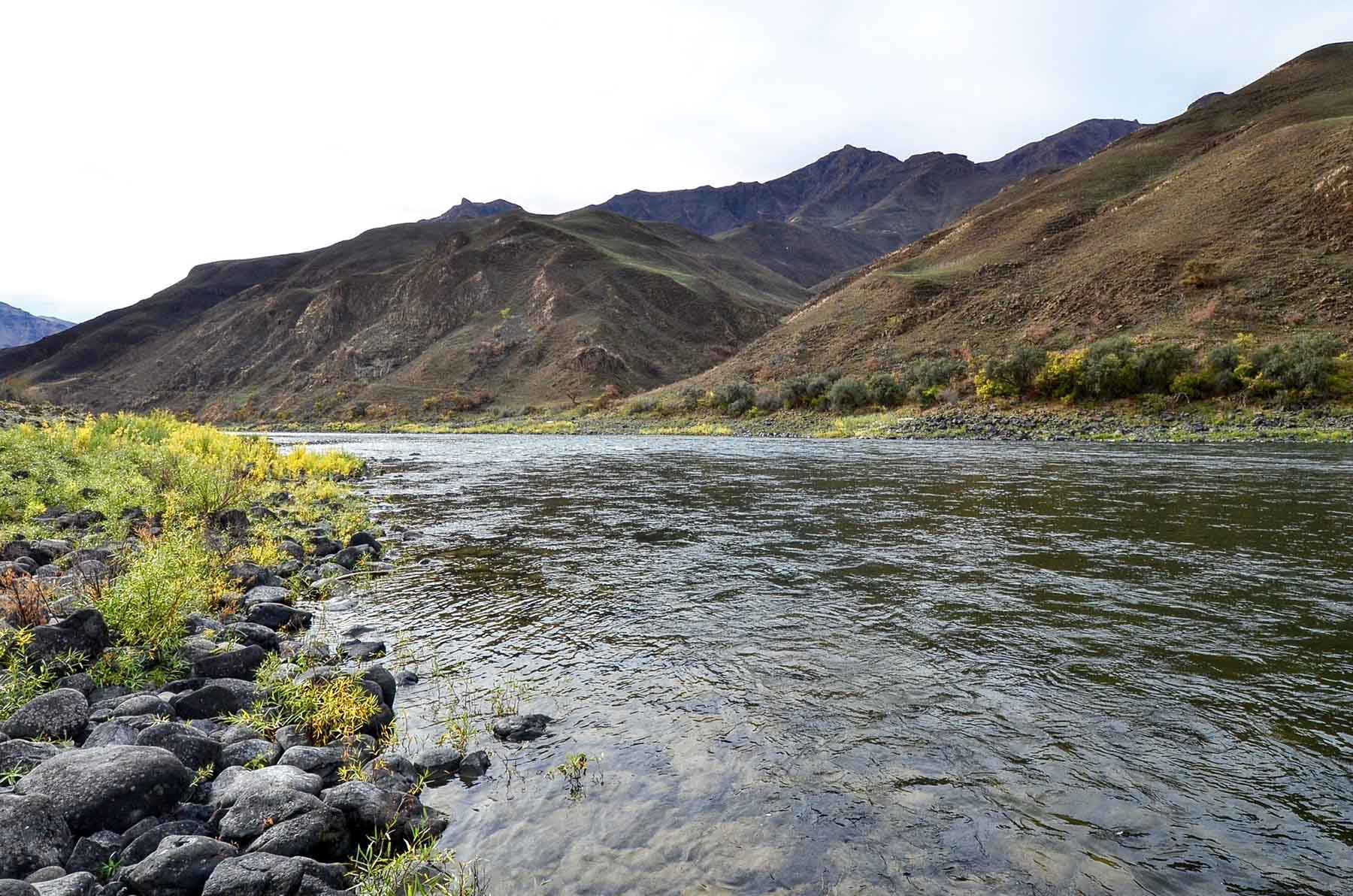 Lower Salmon River Ranch property picture 58 of 95