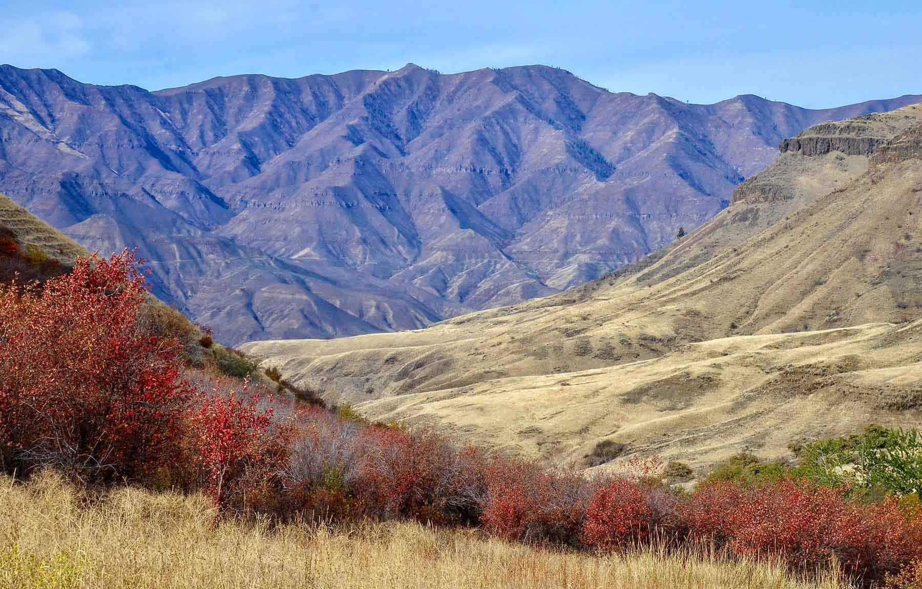 Lower Salmon River Ranch property picture 40 of 95