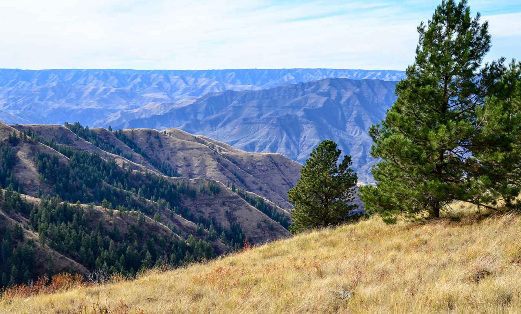 Lower Salmon River Ranch property picture 77 of 95