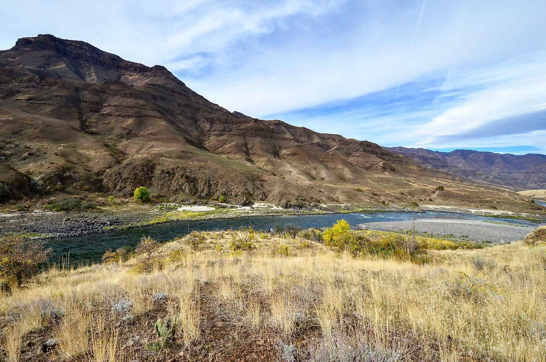 Lower Salmon River Ranch property picture 64 of 95