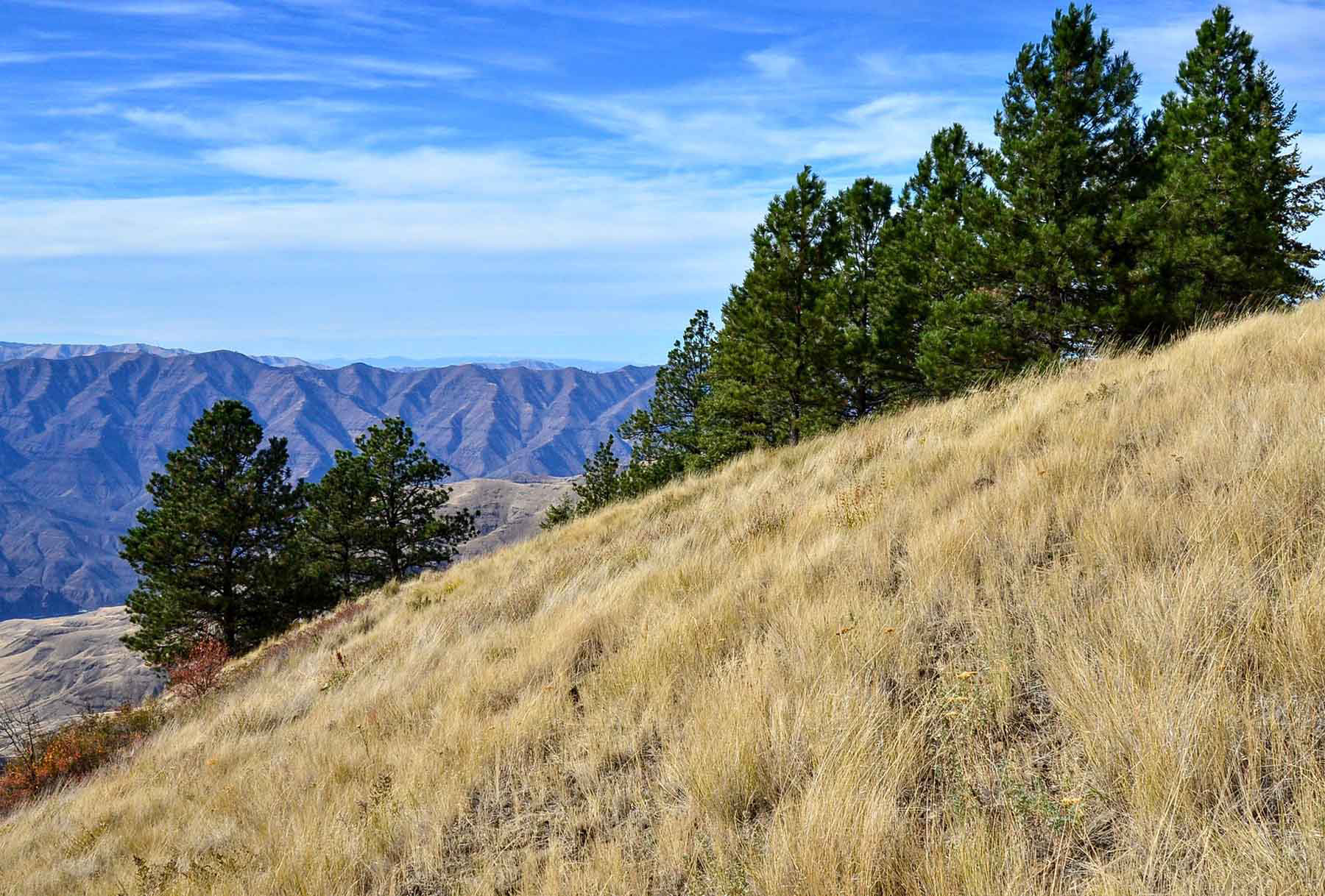 Lower Salmon River Ranch property picture 82 of 95