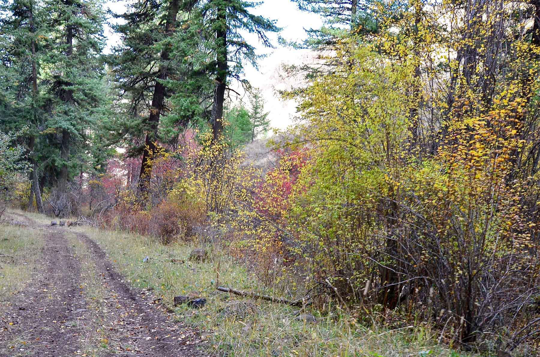 Lower Salmon River Ranch property picture 34 of 95