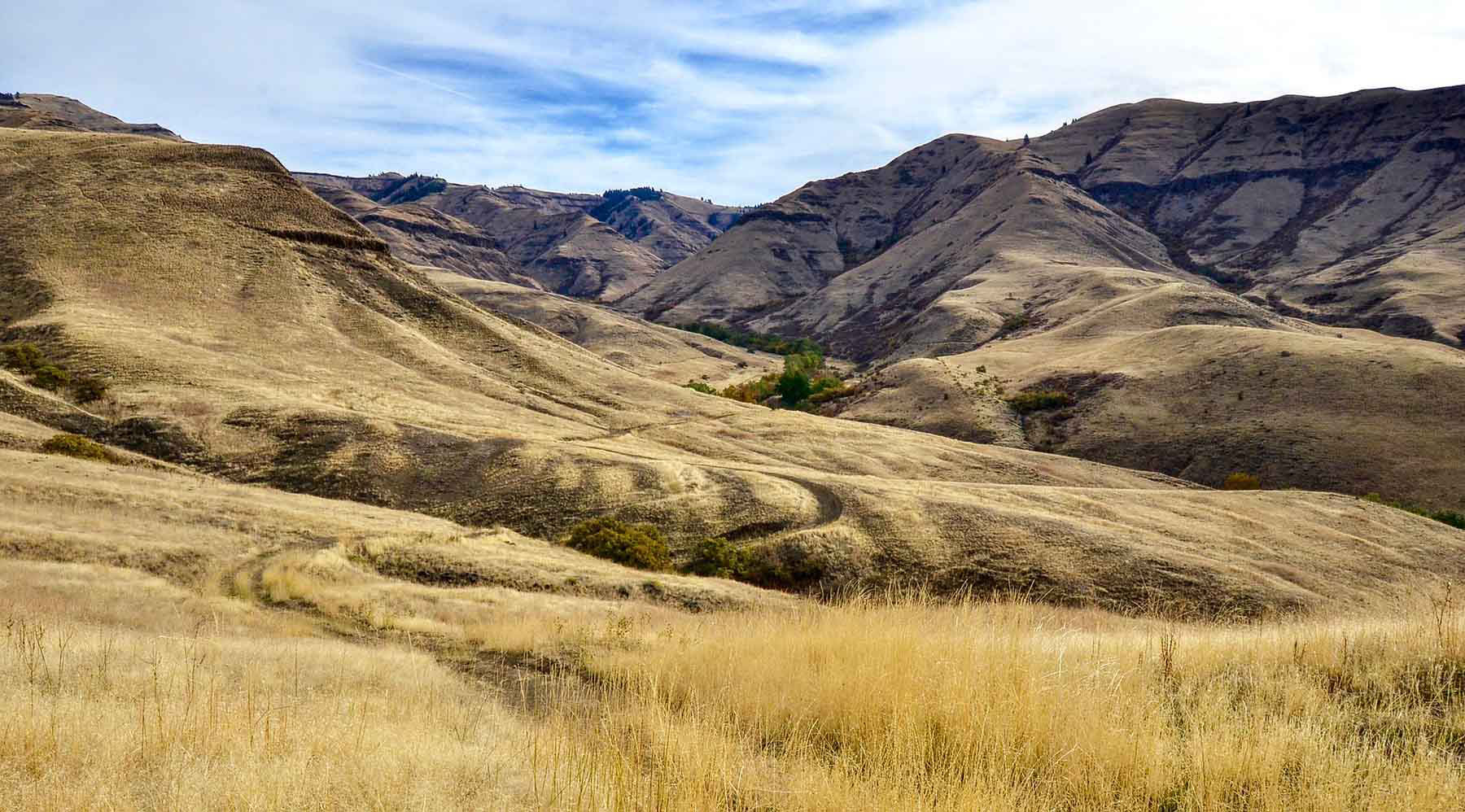 Lower Salmon River Ranch property picture 54 of 95