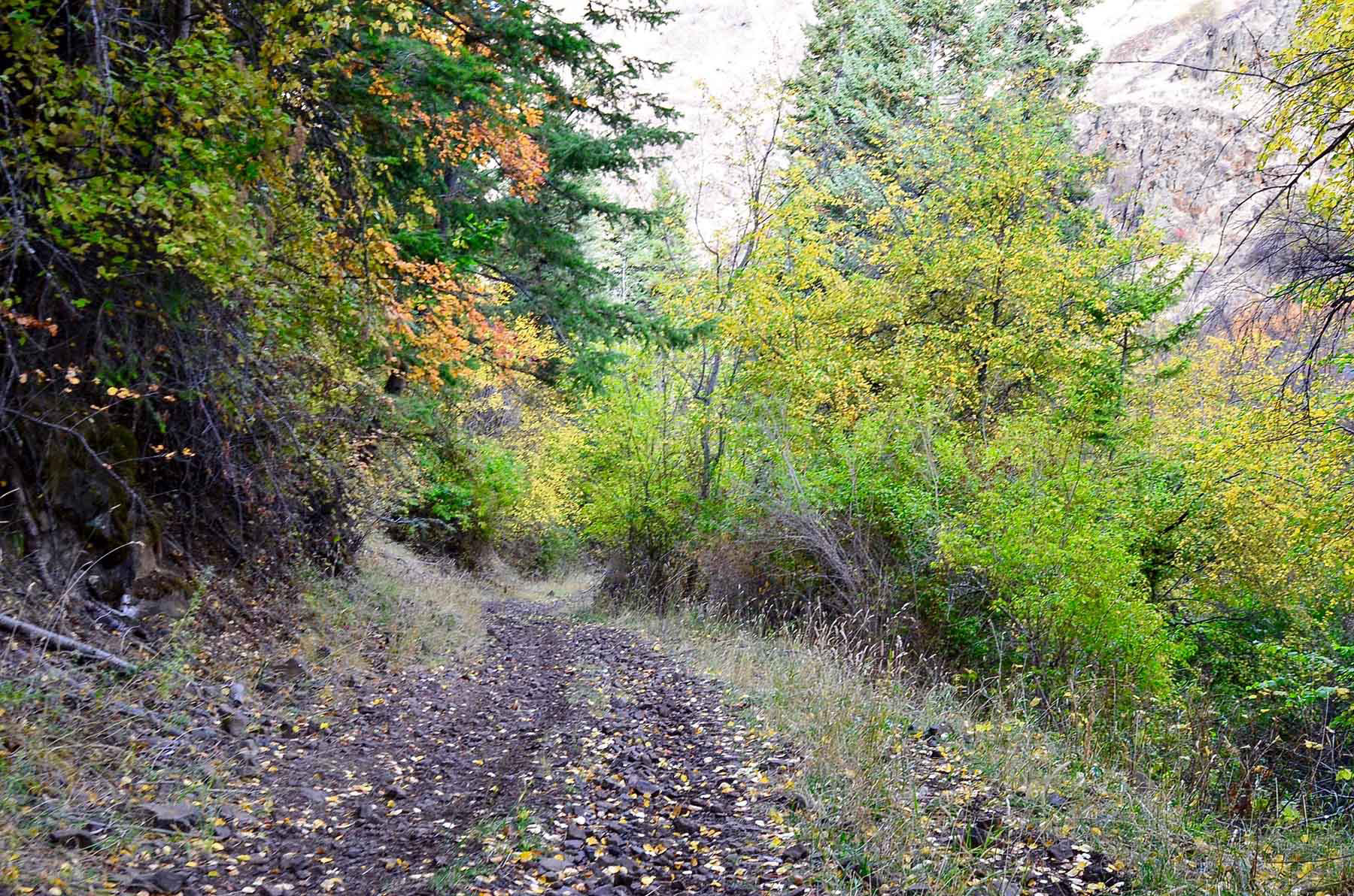 Lower Salmon River Ranch property picture 36 of 95