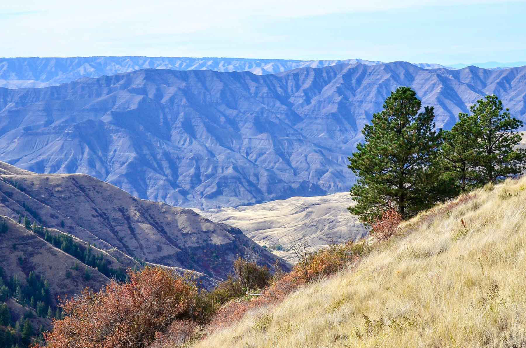 Lower Salmon River Ranch property picture 80 of 95