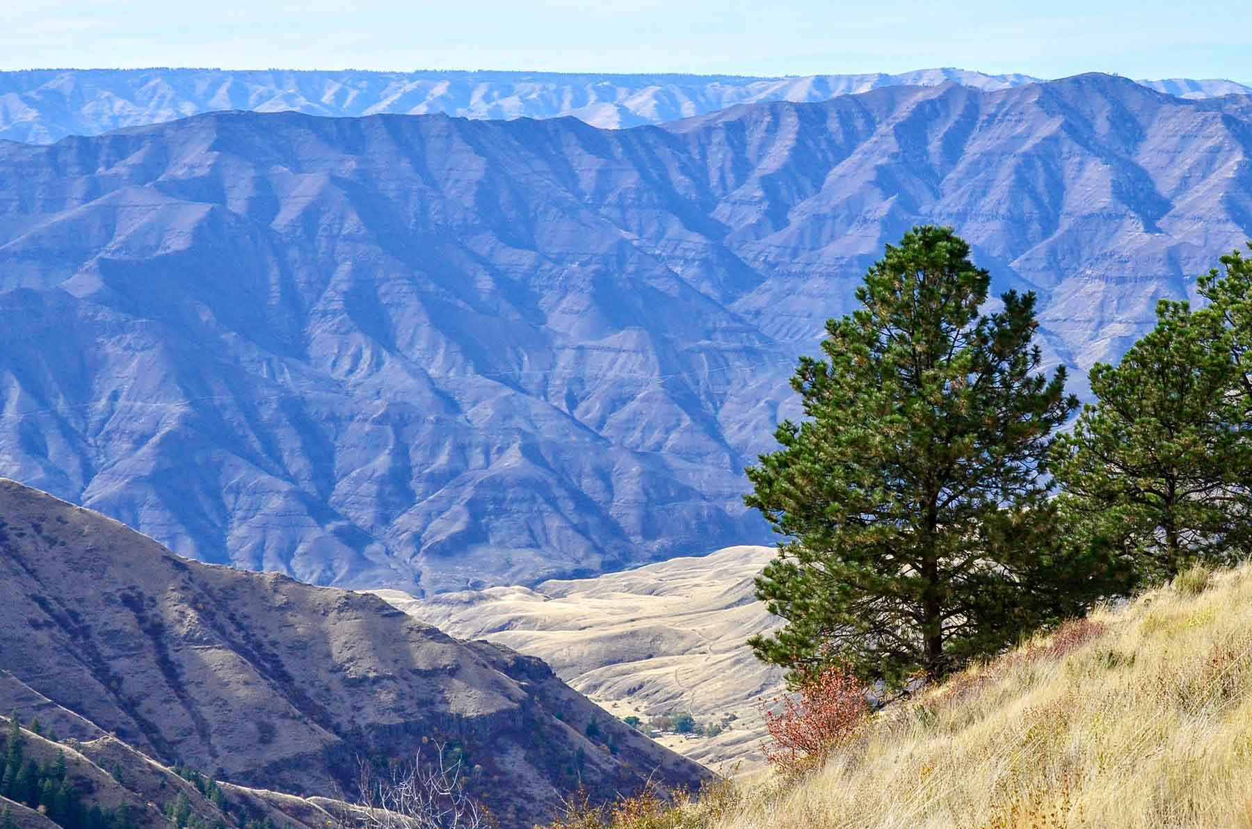 Lower Salmon River Ranch property picture 83 of 95