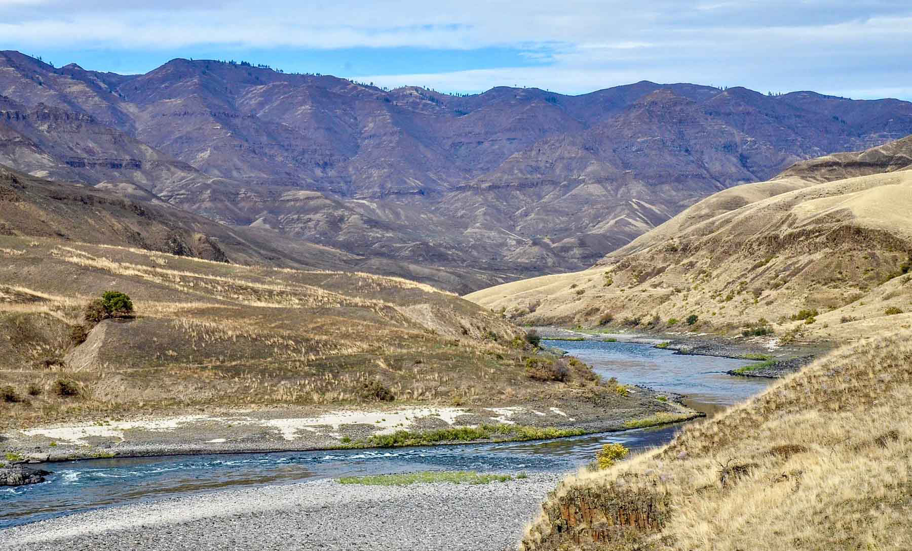 Lower Salmon River Ranch property picture 65 of 95