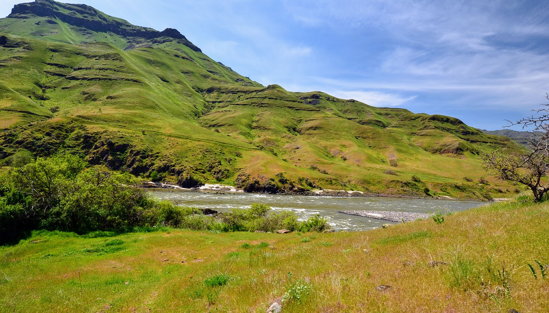 Lower Salmon River Ranch property picture 21 of 95