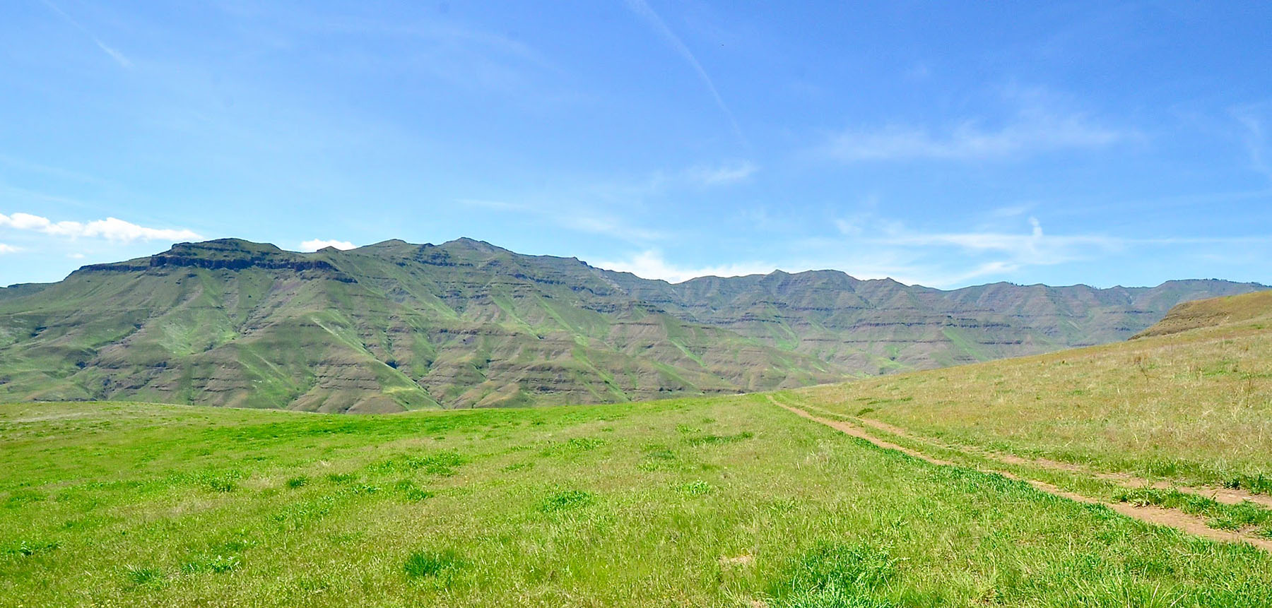 Lower Salmon River Ranch property picture 15 of 95