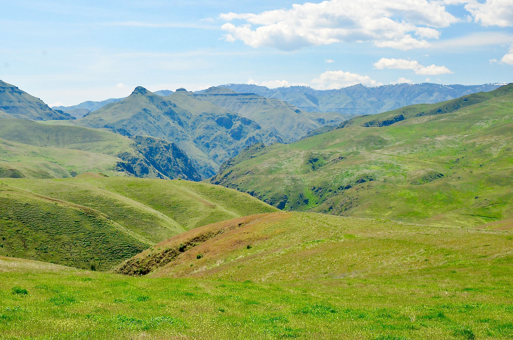 Lower Salmon River Ranch property picture 16 of 95