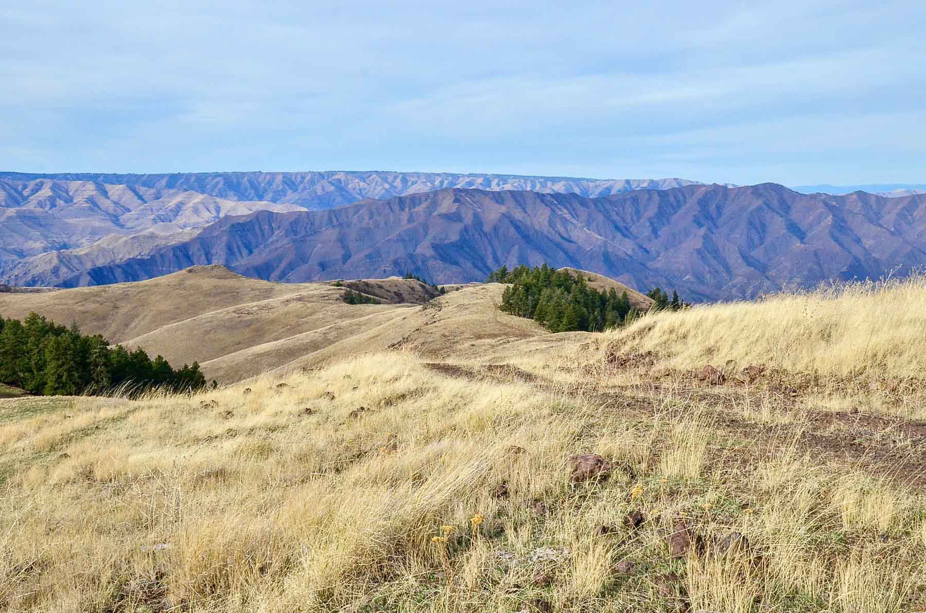 Lower Salmon River Ranch property picture 30 of 95