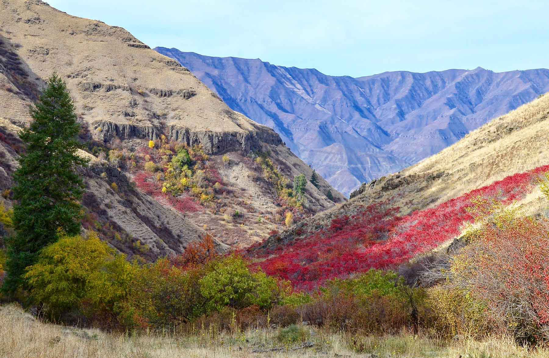 Lower Salmon River Ranch property picture 37 of 95