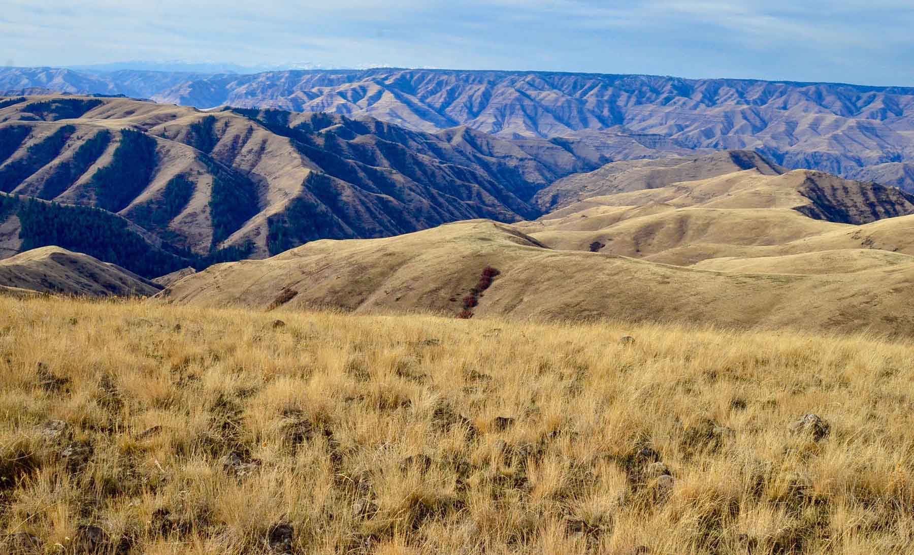 Lower Salmon River Ranch property picture 29 of 95