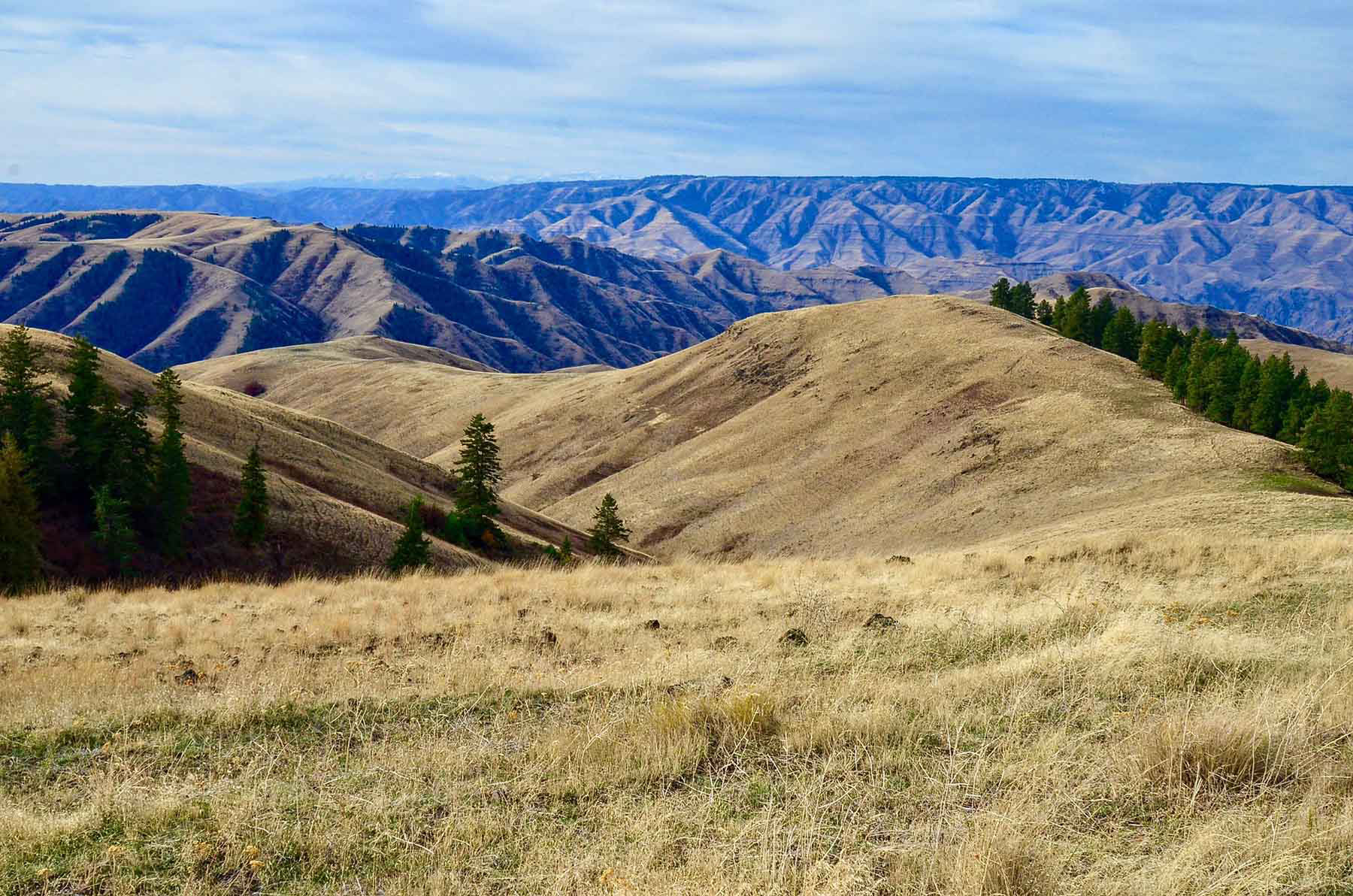 Lower Salmon River Ranch property picture 31 of 95