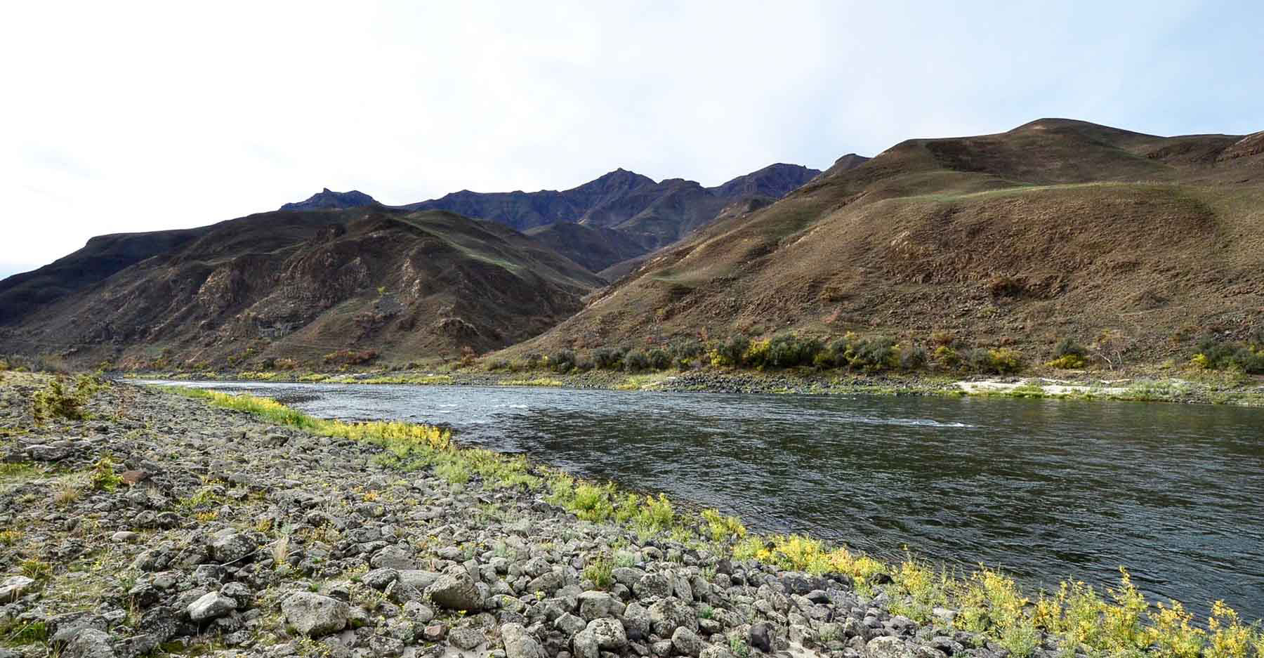 Lower Salmon River Ranch property picture 56 of 95