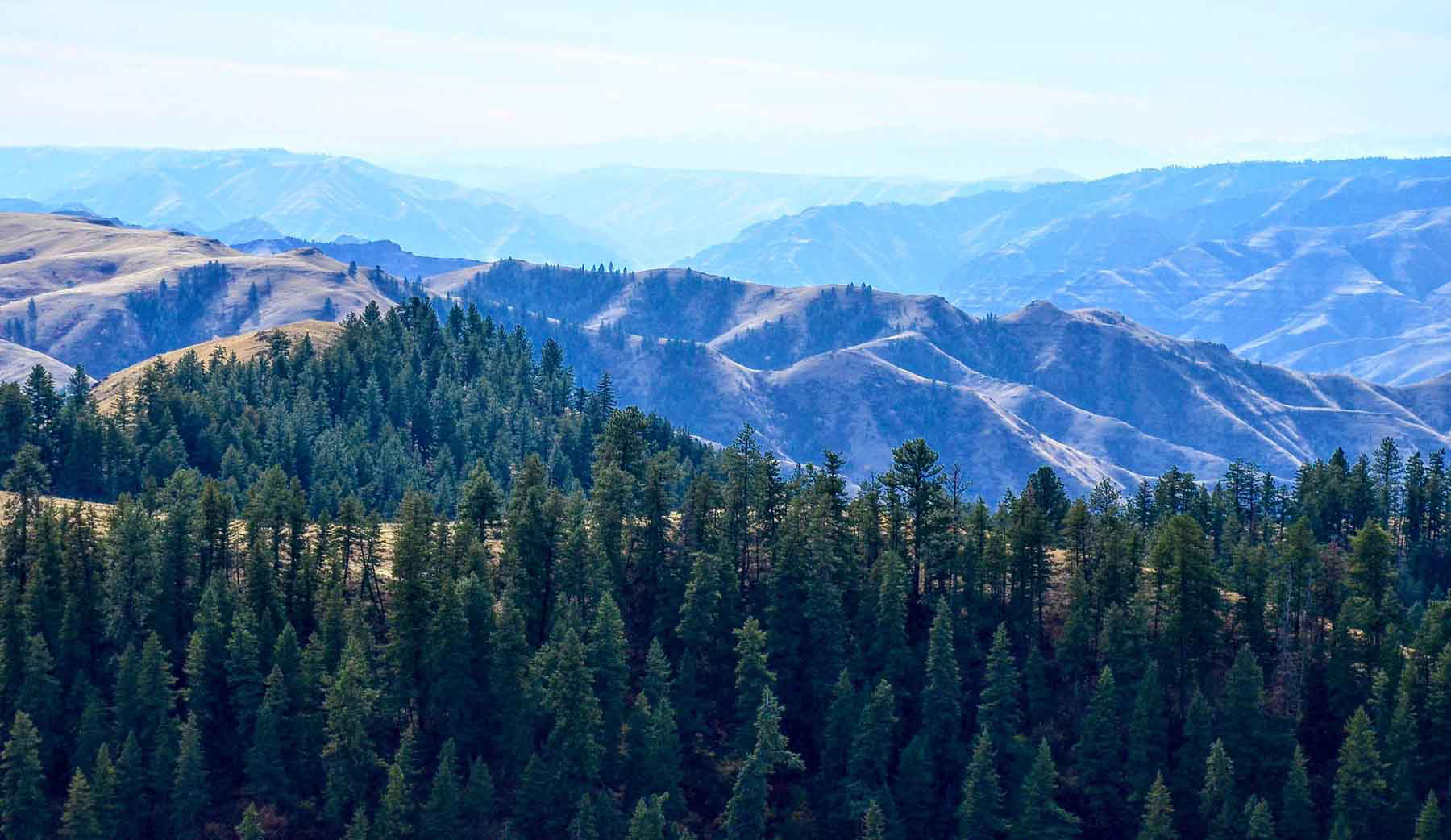 Lower Salmon River Ranch property picture 78 of 95