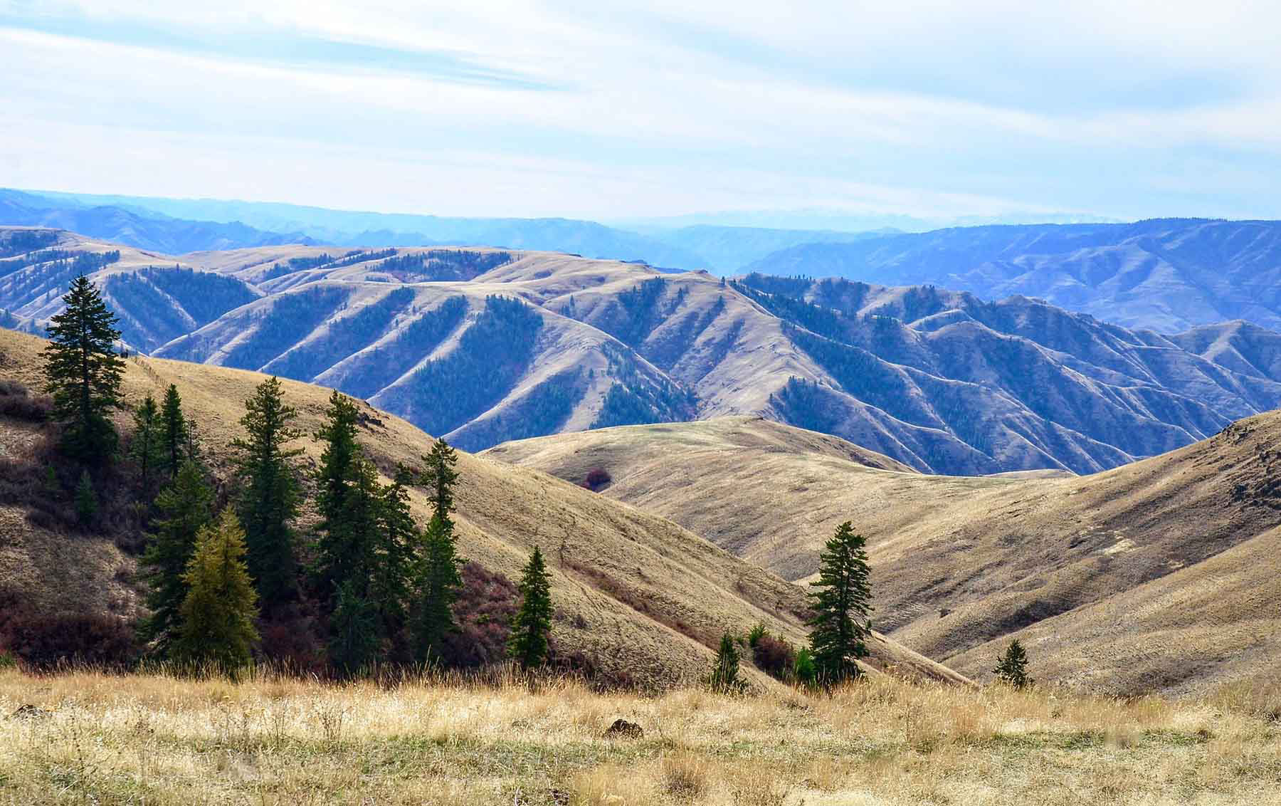 Lower Salmon River Ranch property picture 73 of 95
