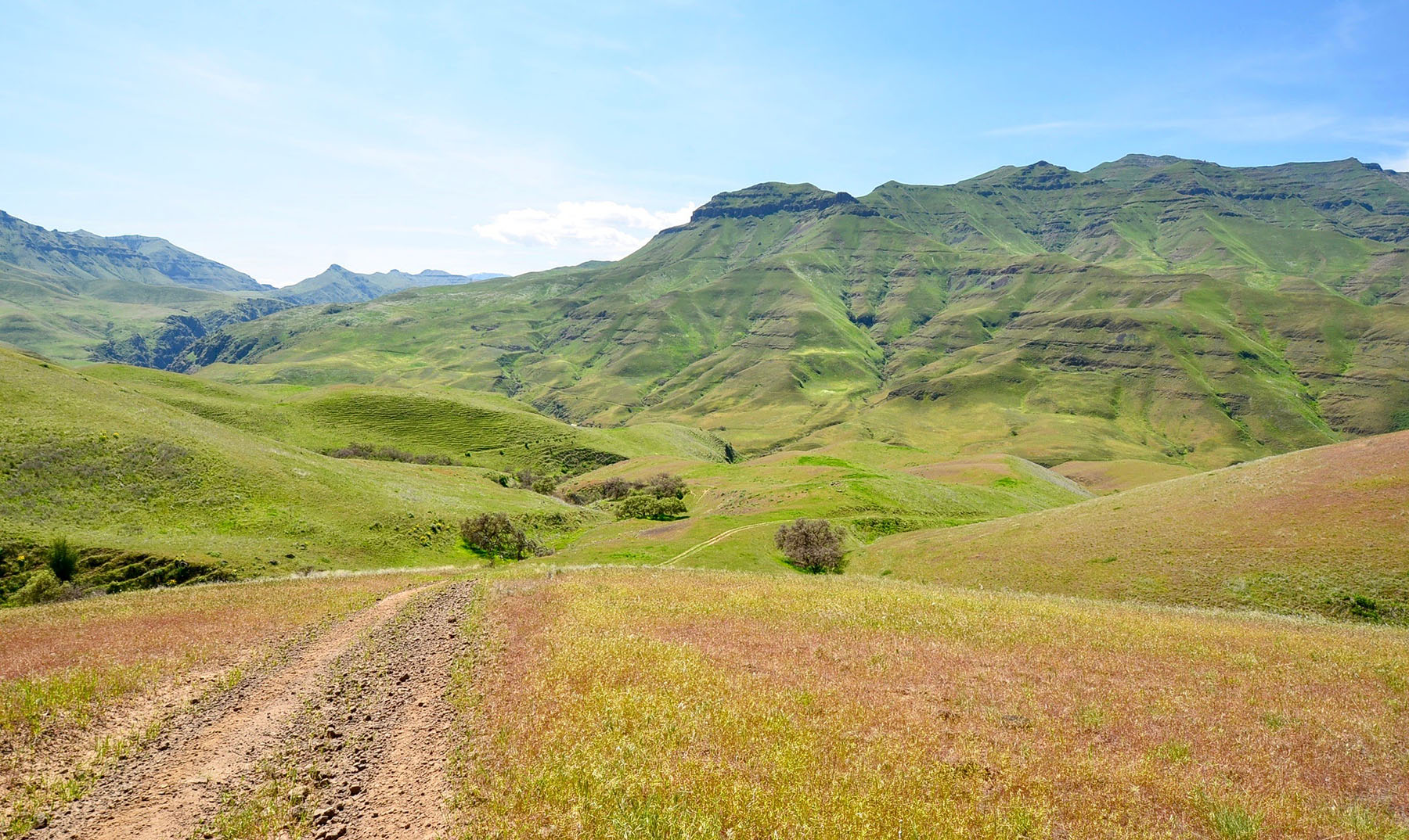 Lower Salmon River Ranch property picture 18 of 95