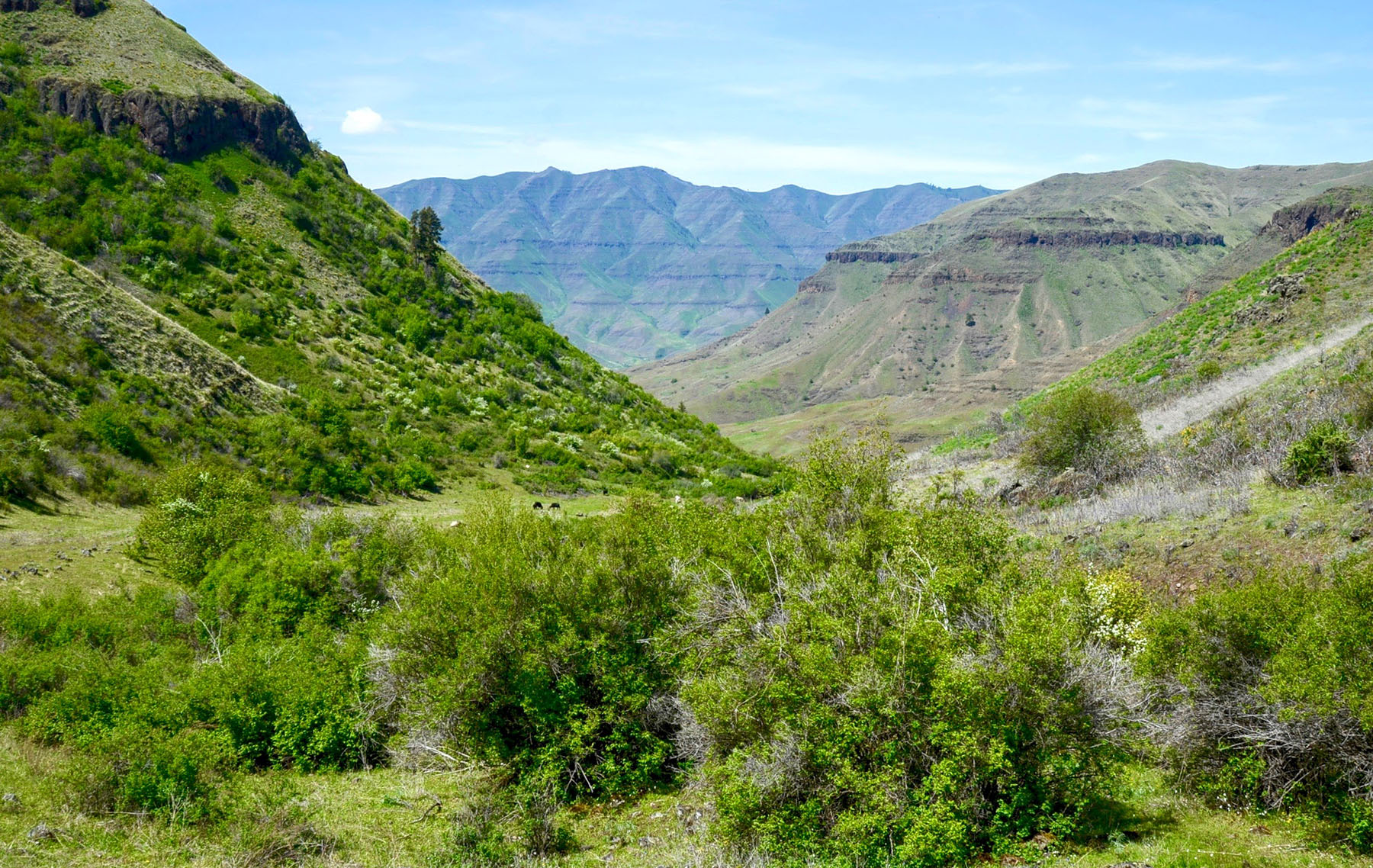 Lower Salmon River Ranch property picture 11 of 95