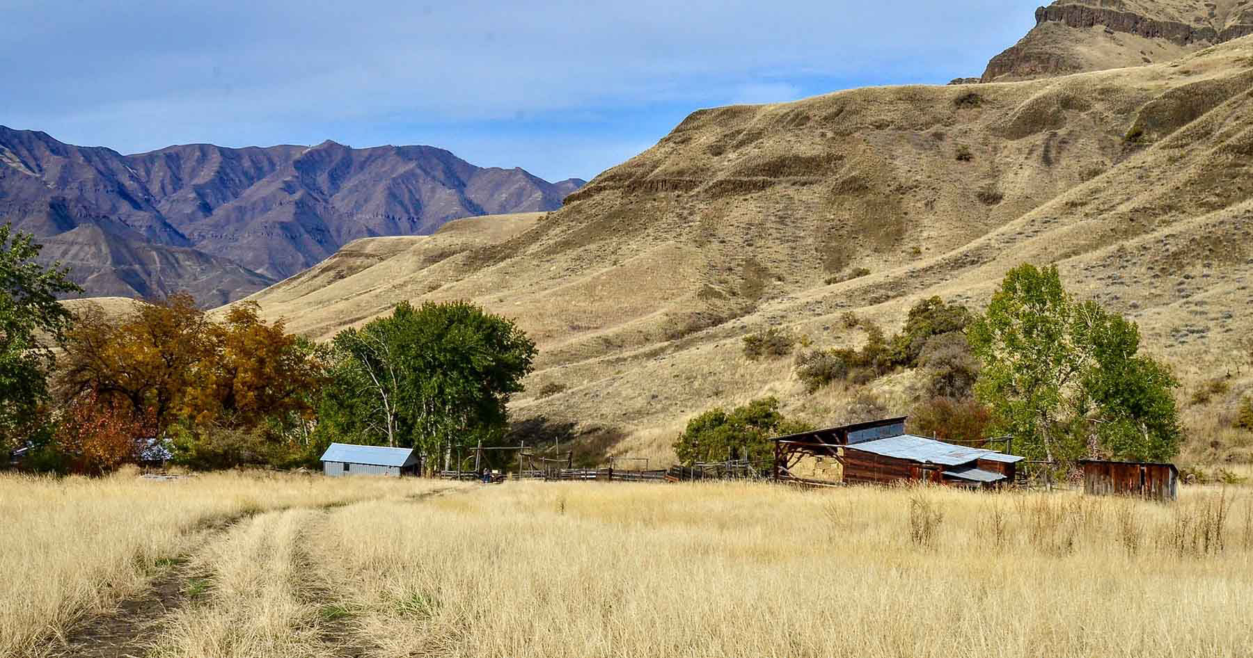 Lower Salmon River Ranch property picture 42 of 95