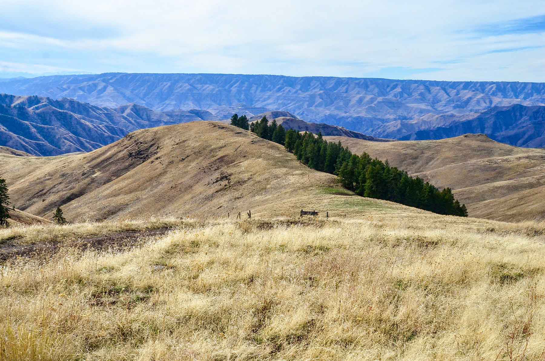 Lower Salmon River Ranch property picture 75 of 95
