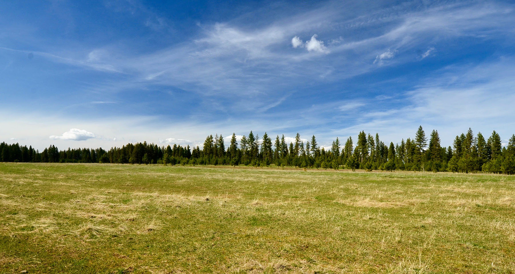Lower Salmon River Ranch property picture 95 of 95