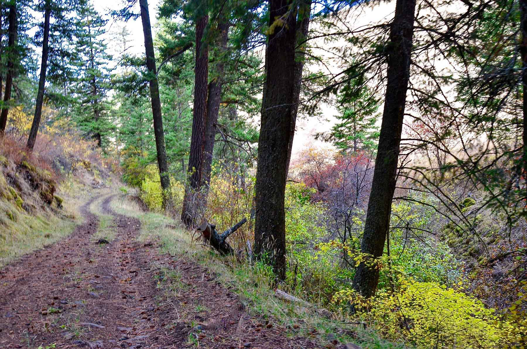 Lower Salmon River Ranch property picture 35 of 95
