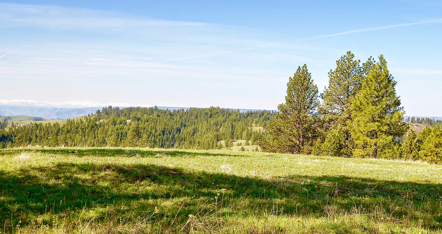 Lower Salmon River Ranch property picture 88 of 95