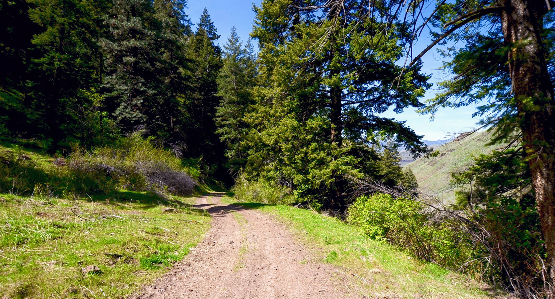 Lower Salmon River Ranch property picture 9 of 95