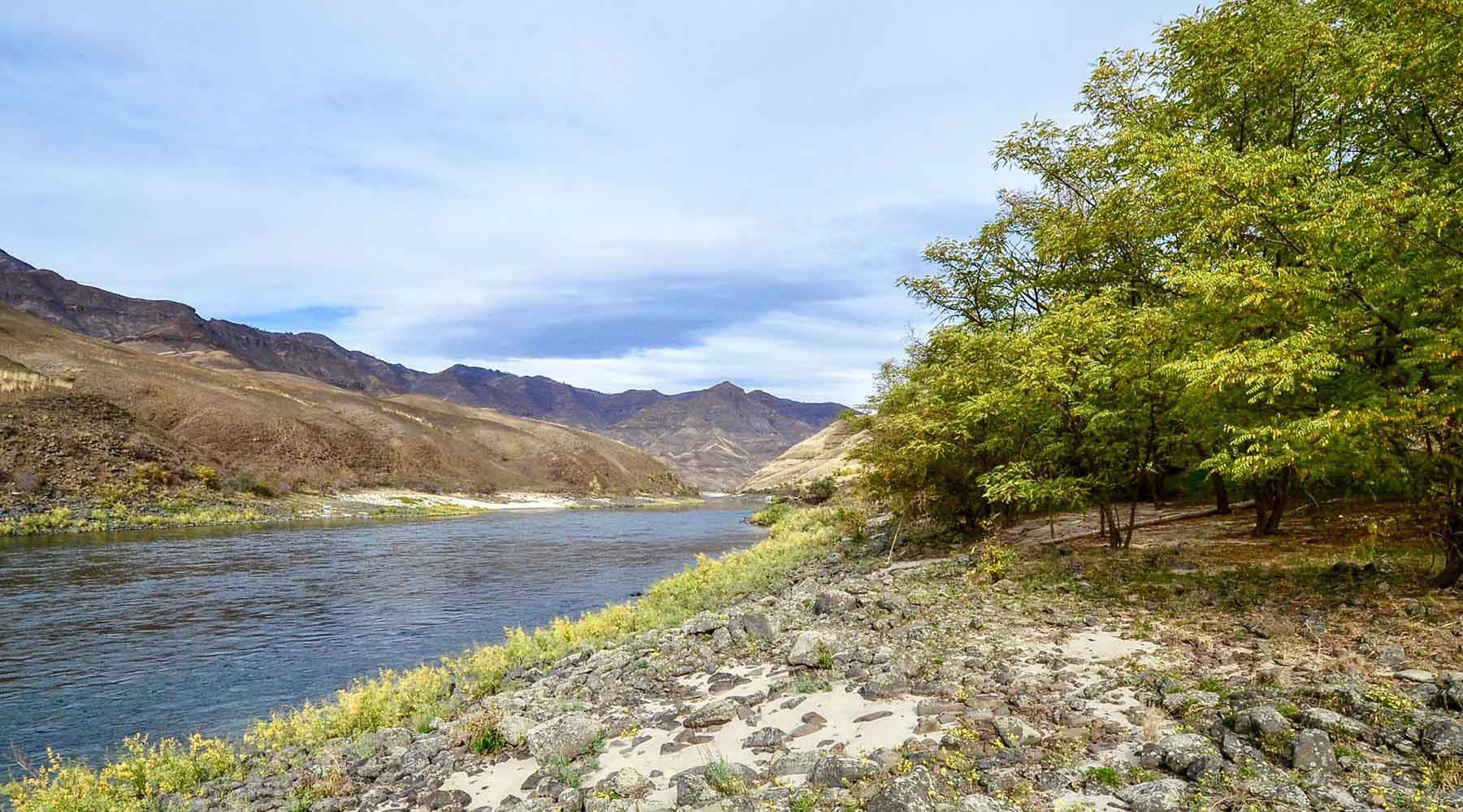 Lower Salmon River Ranch property picture 57 of 95