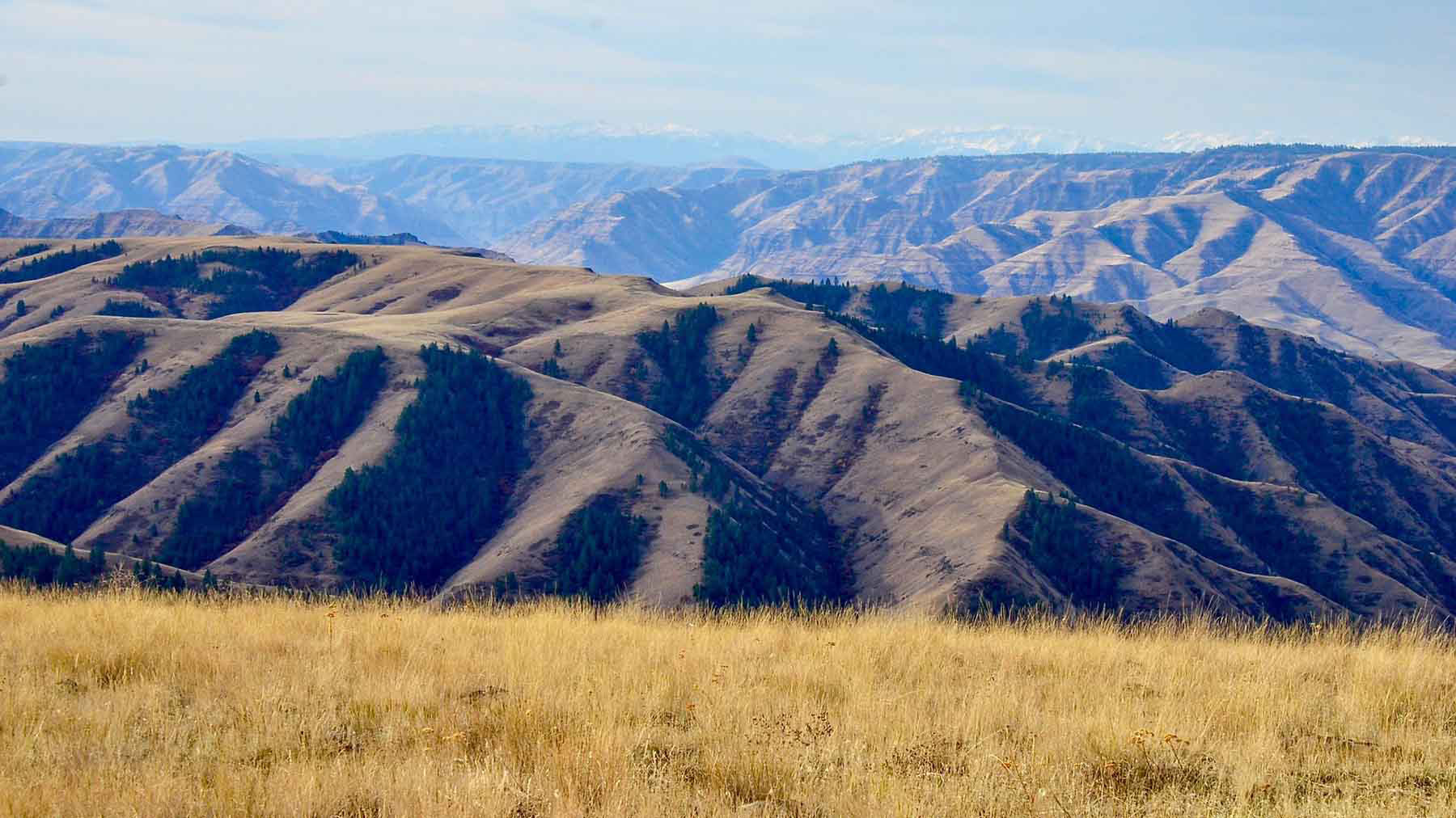 Lower Salmon River Ranch property picture 28 of 95