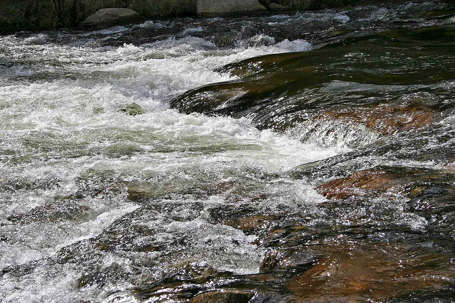 Wildflower at Crystal Creek property picture 5 of 33