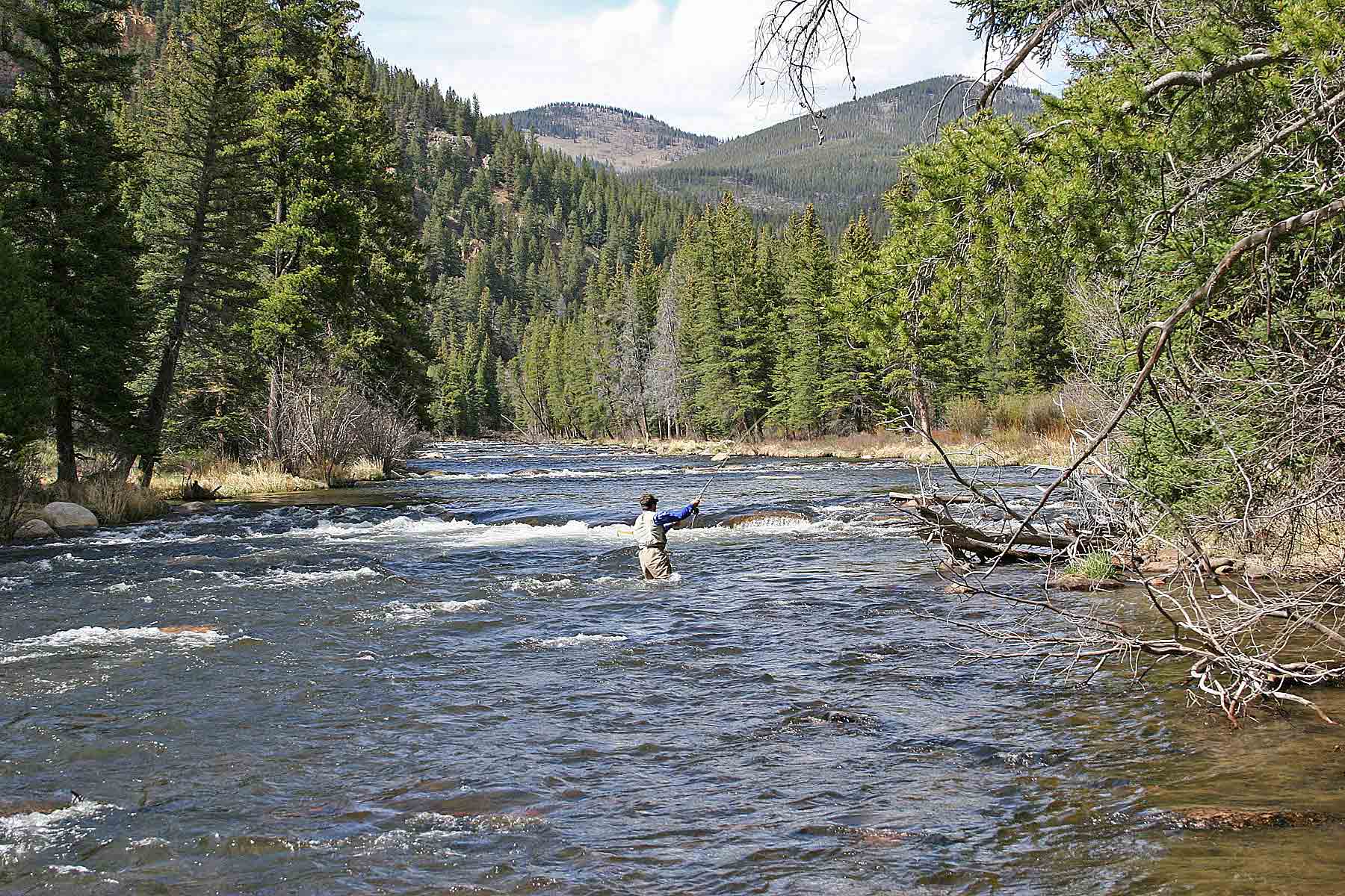 Wildflower at Crystal Creek property picture 6 of 33