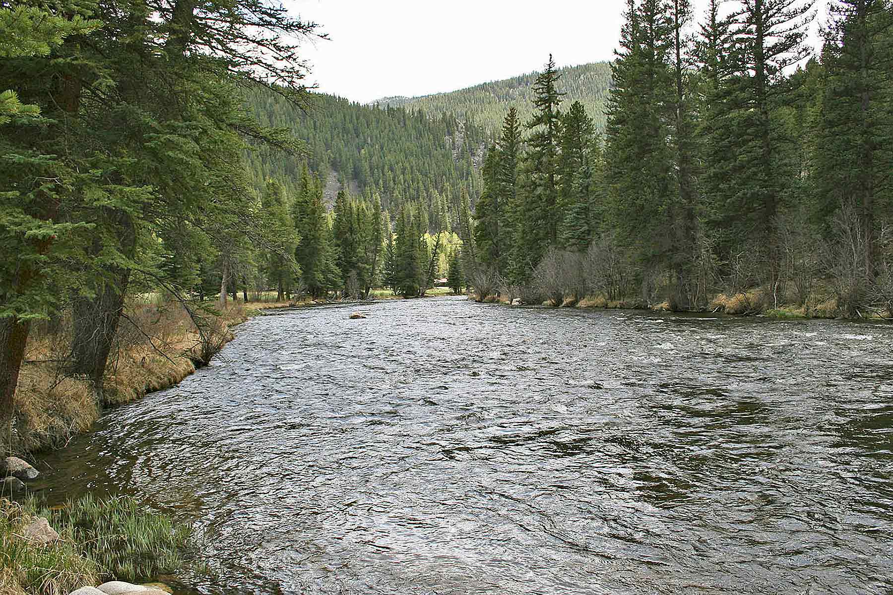 Wildflower at Crystal Creek property picture 7 of 33