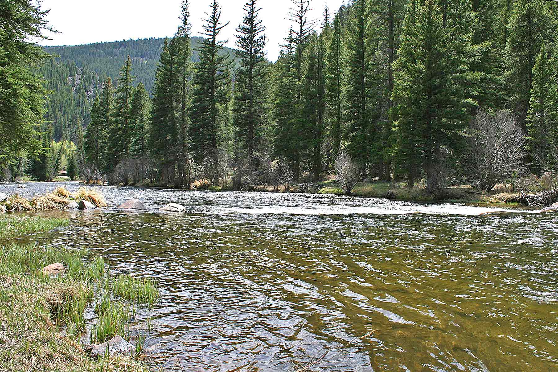 Wildflower at Crystal Creek property picture 8 of 33