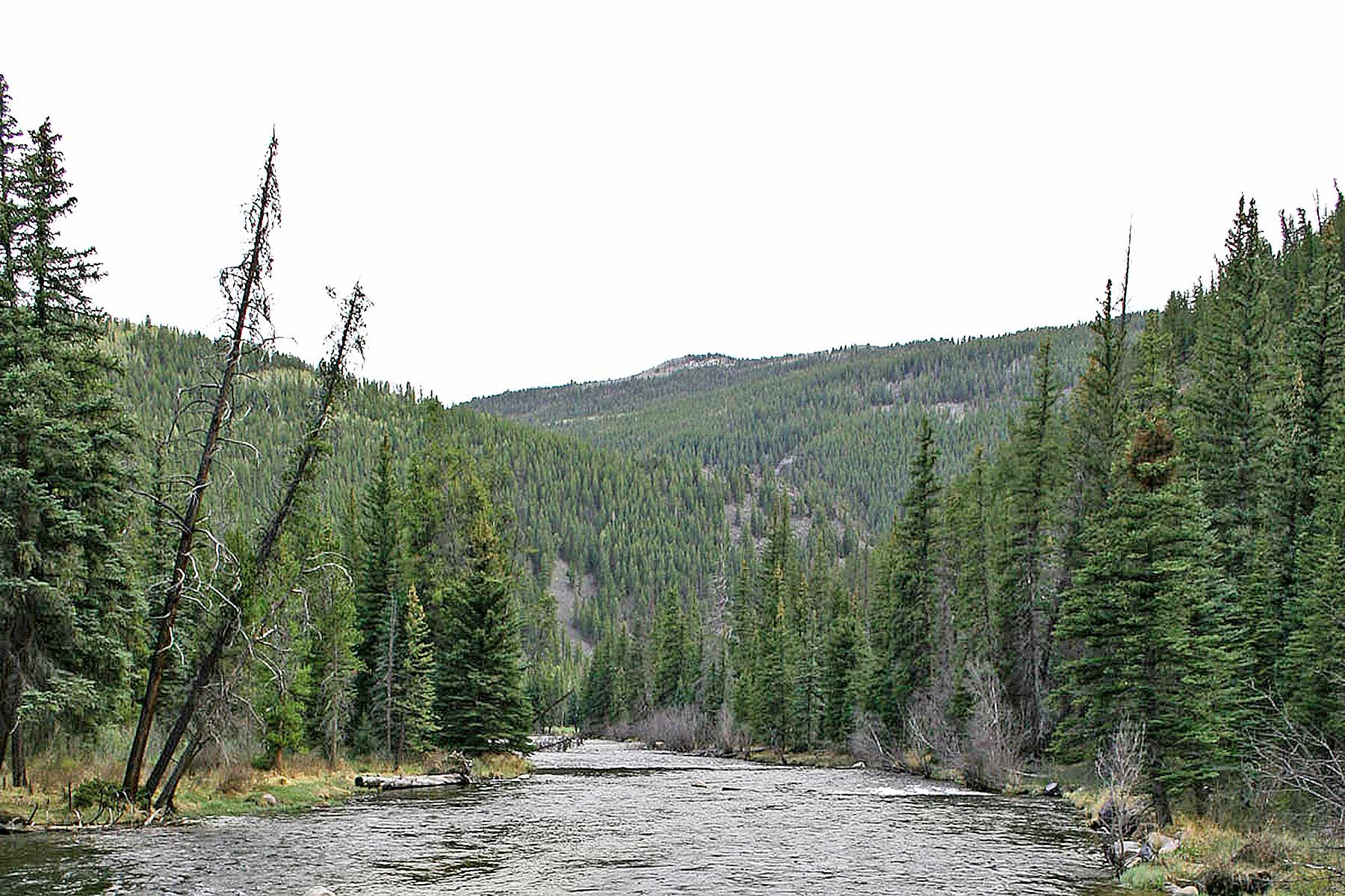 Wildflower at Crystal Creek property picture 9 of 33