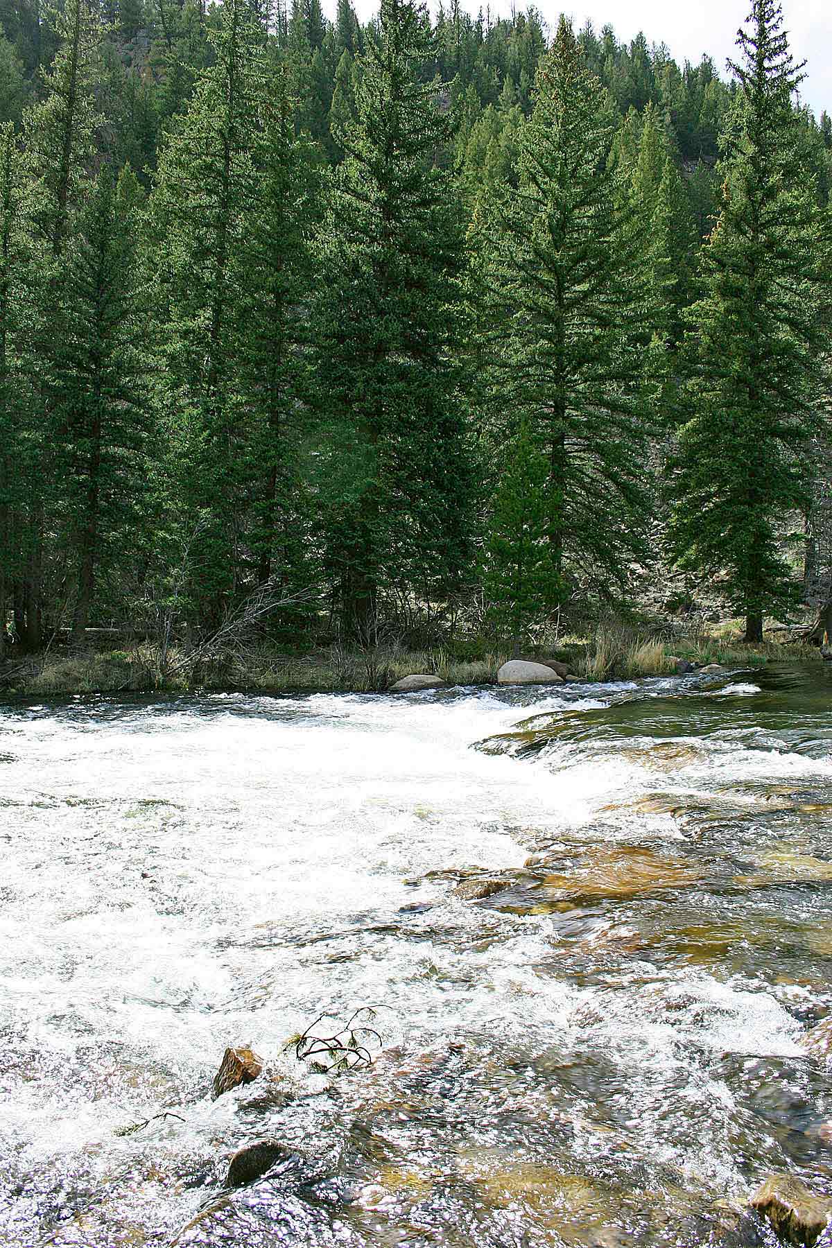 Wildflower at Crystal Creek property picture 10 of 33