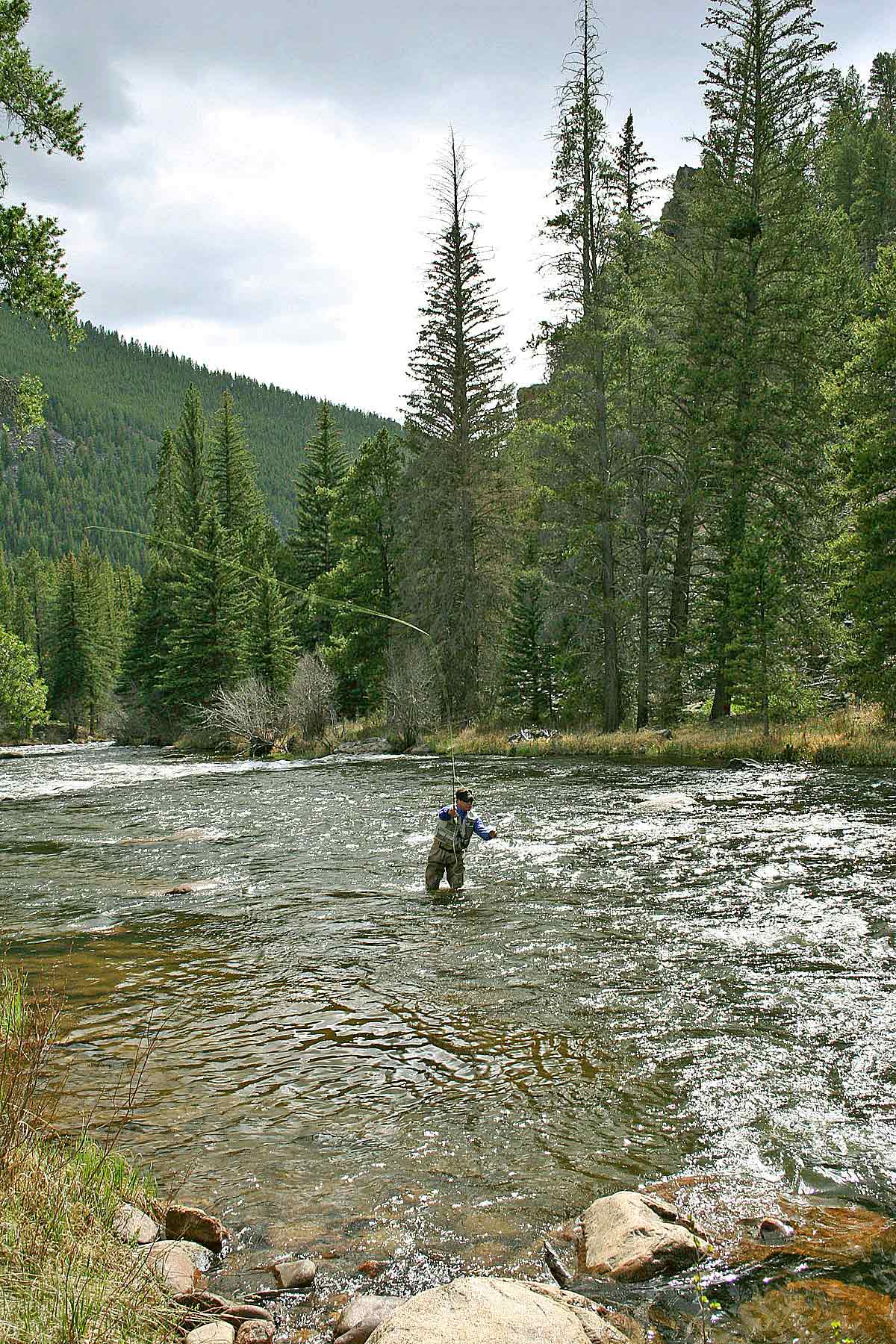 Wildflower at Crystal Creek property picture 11 of 33